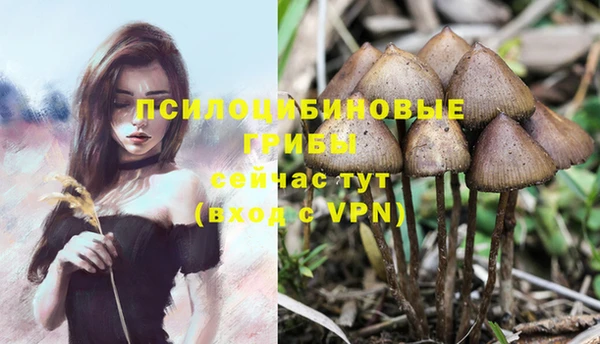 эйфоретик Алзамай