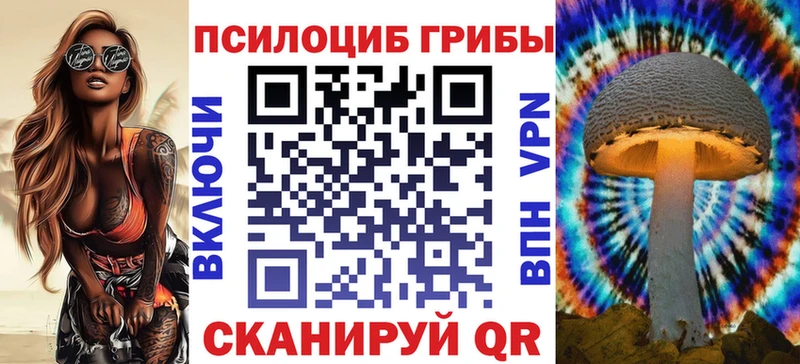 продажа наркотиков  Орехово-Зуево  Галлюциногенные грибы Psilocybine cubensis 